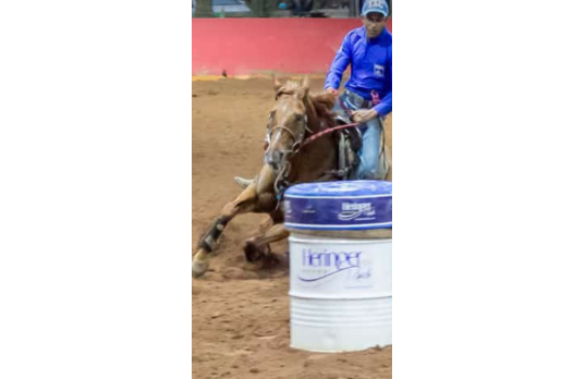 SPEEDY MARE ZORRERO